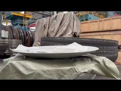 View 316L Stainless Steel Spherical Cap Head 679mm Diameter 5mm Thickness Demo